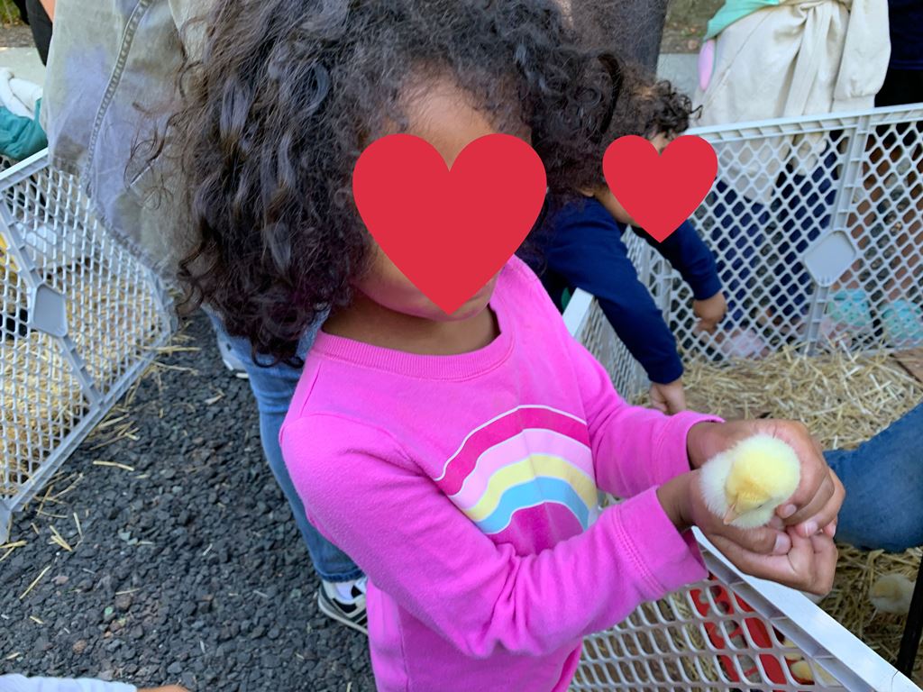 K with a baby chick!